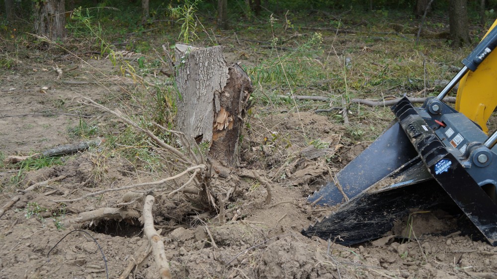 stump bucket - severe duty | blue diamond